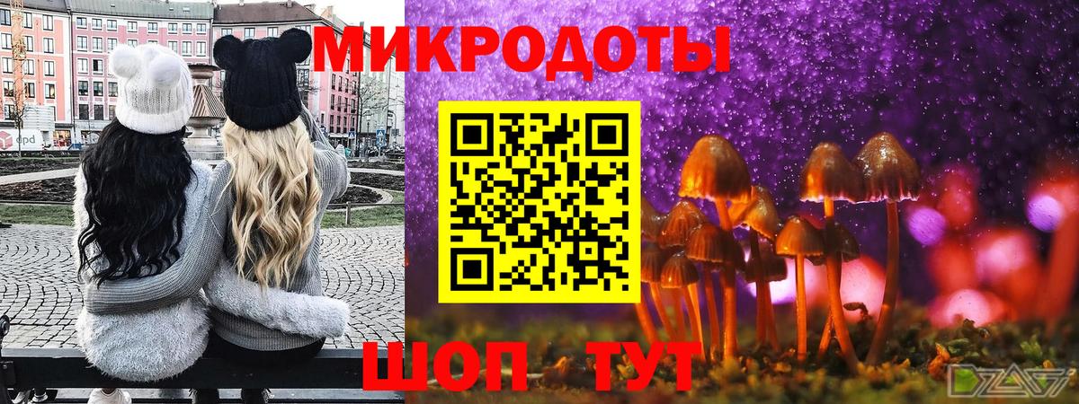 Домодедово  Псилоцибиновые грибы прущие грибы  Вход с VPN  Псилоцибиновые грибы GOLDEN TEACHER 