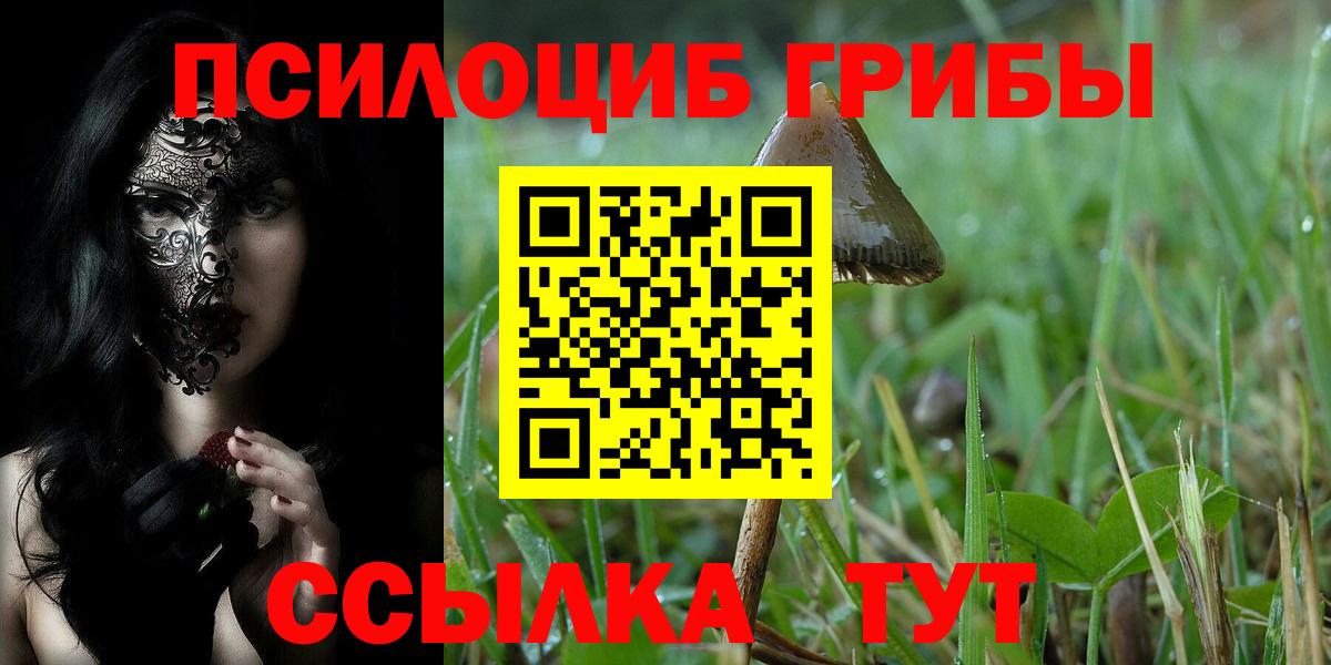 Галлюциногенные грибы Magic Shrooms Домодедово